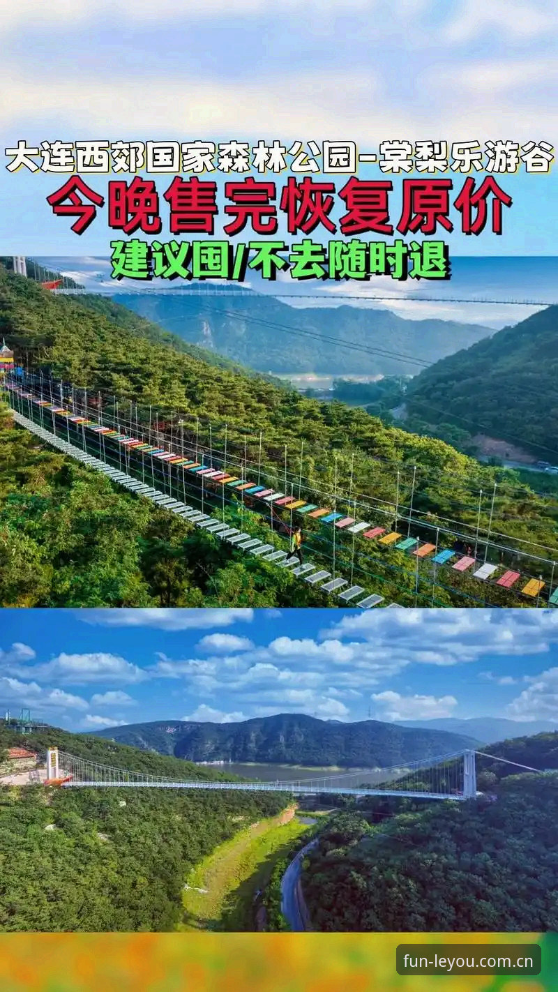 乐游体育用户登录 5大核心功能详解:乐游体育用户登录体验全面升级